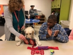 Playing with animals