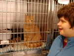 Young person looking at cat